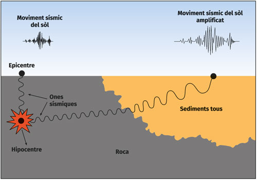 Figura 1. Esquema de l’efecte d’amplificació del moviment del terreny on s’observa l’augment de l’amplitud de les ones sísmiques que es produeix en sediments tous respecte el movimente del terra en roca dura.