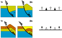 2D scheme Double movement faults