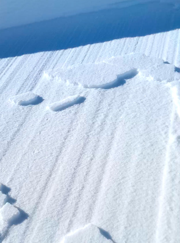 Detall de la superfície de lliscament de la placa, amb neu seca i solta damunt d’una capa dura (Imatge cedida per R. Martínez)