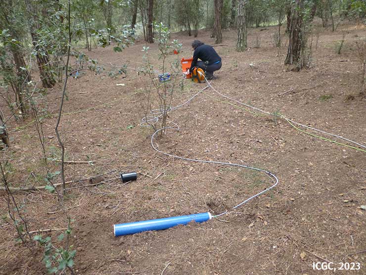 Un tècnic està situant instruments i cablejat en superfície per a mesures geofísiques en una zona de bosc.