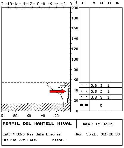 Figura 1. Perfil estratigràfic realitzat el mateix dia de l'accident
