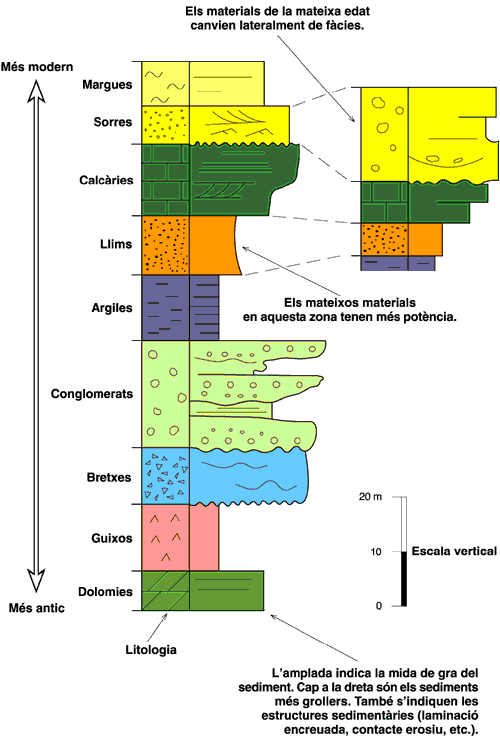 A stratigraphic column is a graphic representation of the various materials that we can find in the way they have been deposited, the oldest in the lower part and the most modern in the upper part. To build a stratigraphic column, the thickness of all layers must be measured in the field and tectonic structures must be avoided. Various columns can be placed on a map in order to compare and visualize how sediments of the same age (color) change laterally in power (thickness) or facies (types of sediments).
