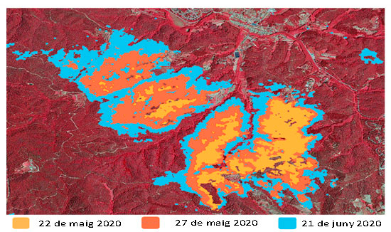 Evolució de les masses forestals afectades per l'eruga peluda entre el 22 de maig i el 21 de juny (Vallgorguina)